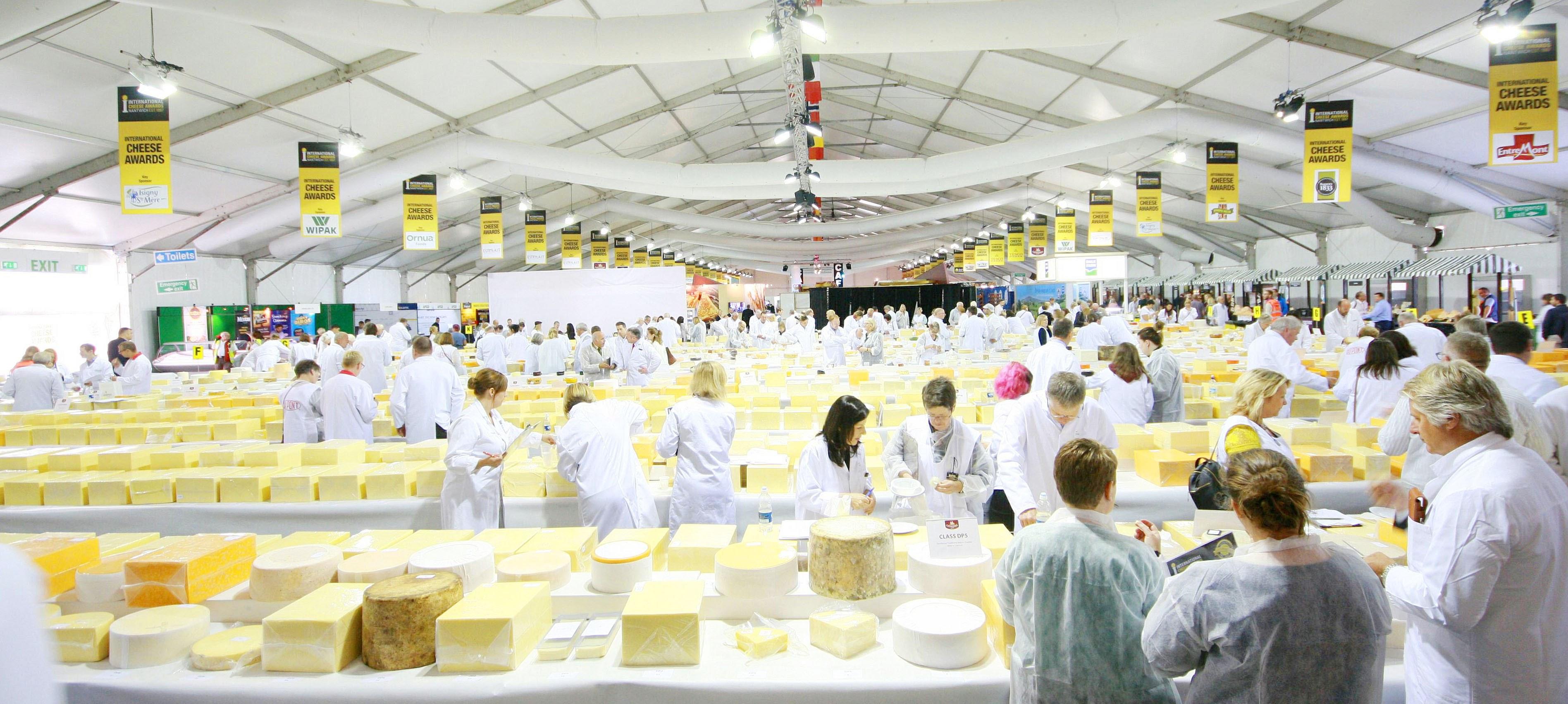 Dairygold Cheese – the Awards keep on coming!