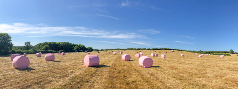 Rural Ireland Turns Pink for 4th Year Running