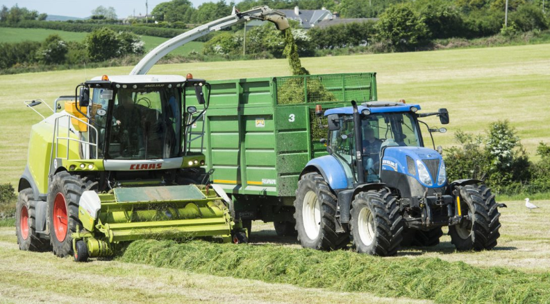 Dairygold to host fodder budgeting workshops across Munster