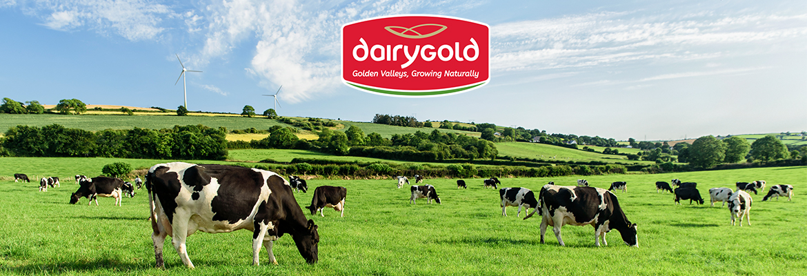 New Board Members for Dairygold