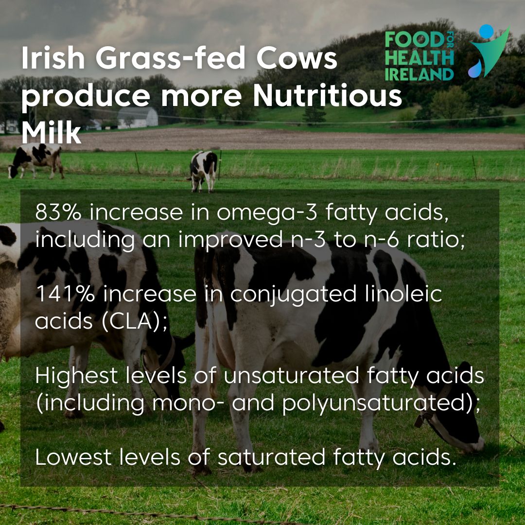 Irish Grass-fed Cows produce more Nutritious Milk