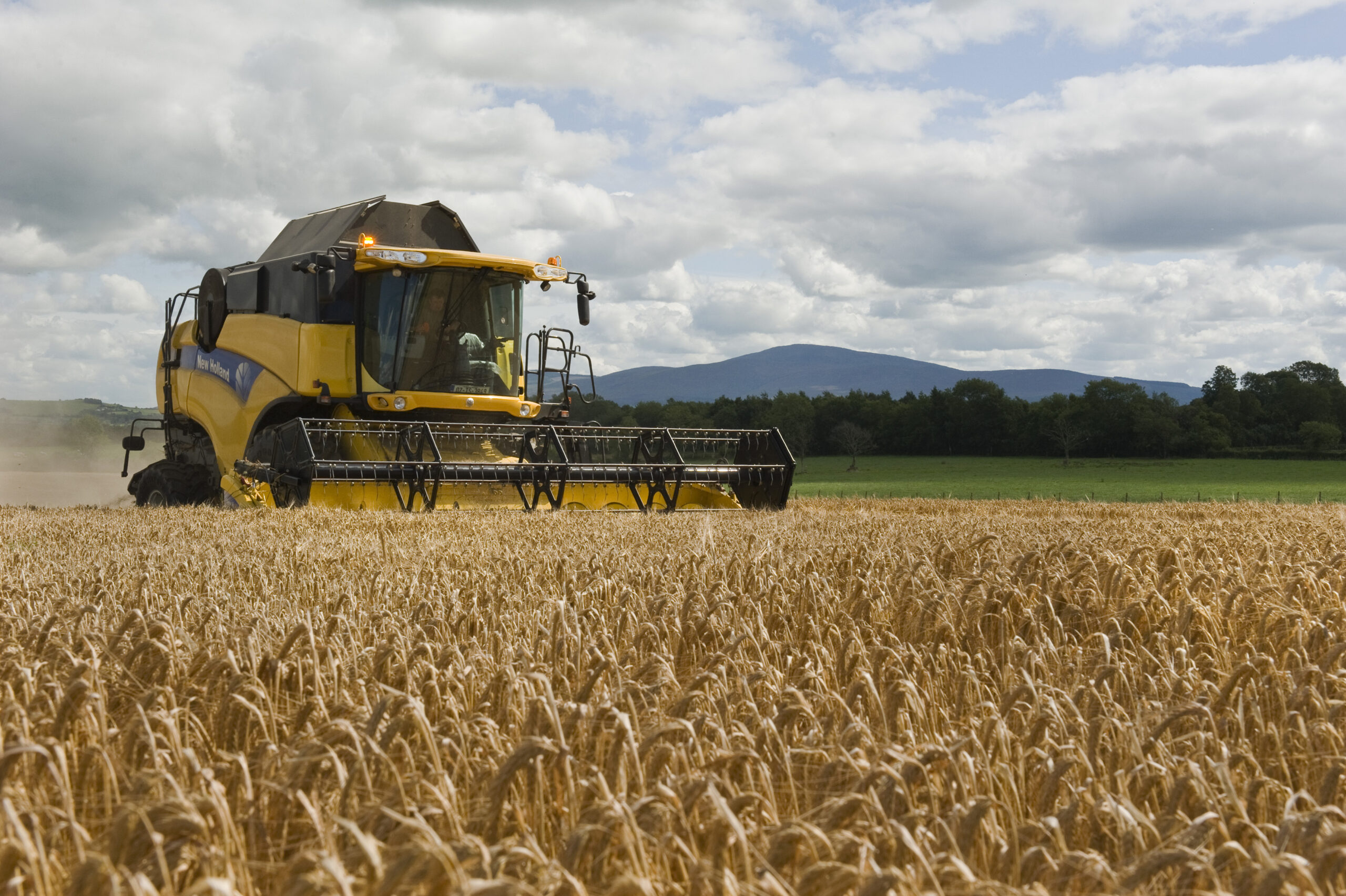 Agri Business
